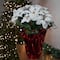26" White Artificial Christmas Poinsettia in Wrapped Base